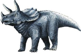 Jednen z dinozaurów - triceratops